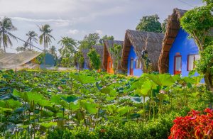 Quá khứ u ám của hòn đảo bỏ hoang ở Italy