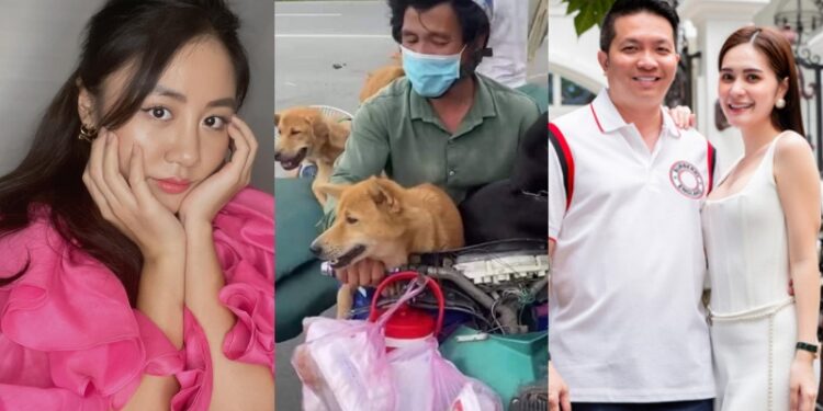 Vụ việc 15 chú chó bị tiêu huỷ: Nhiều sao Việt lên tiếng, vợ chồng Đoàn Di Băng chuyển ngay 50 triệu đồng