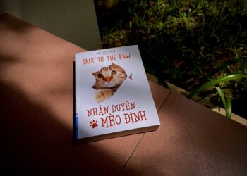 Nhân duyên mèo định – Cuộc đời thì ngắn, sao không yêu thương nhau đi   