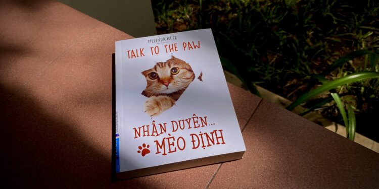 Nhân duyên mèo định – Cuộc đời thì ngắn, sao không yêu thương nhau đi   