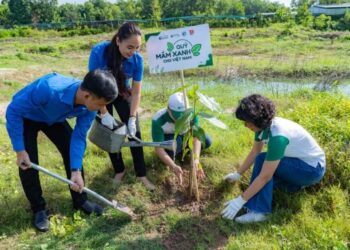 Triệu mầm xanh cho Việt Nam: Hành động vì một tương lai xanh