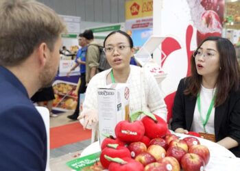 Táo Ba Lan được người tiêu dùng Việt ưa chuộng