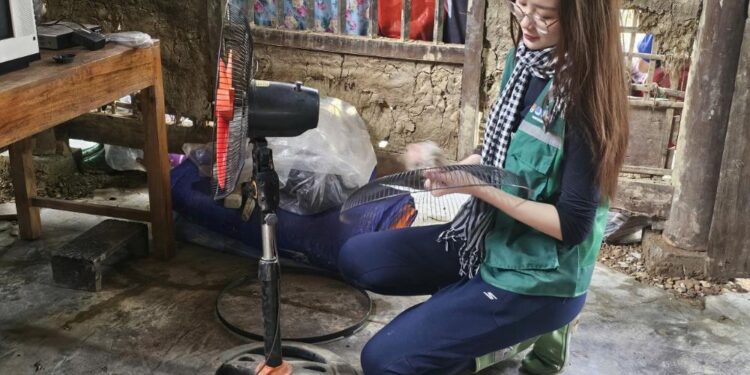 Hoa Hậu Bảo Ngọc góp sức dựng nhà, hỗ trợ khám bệnh cho bà con vùng lũ phía Bắc