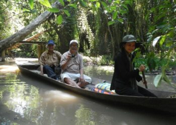 Kỷ niệm 100 năm ngày sinh họa sĩ Huỳnh Phương Đông với Chuỗi triển lãm Hành trình Huỳnh Phương Đông
