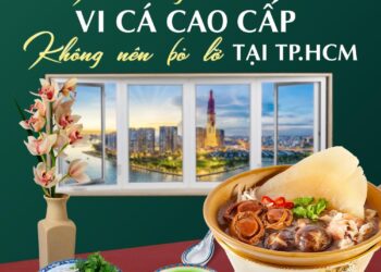 Nhà hàng vi cá cao cấp không nên bỏ lỡ tại TP.HCM