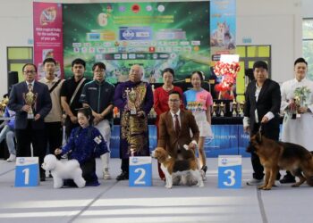 Dog Show – Đà Nẵng 2025 đậm hồn dân tộc