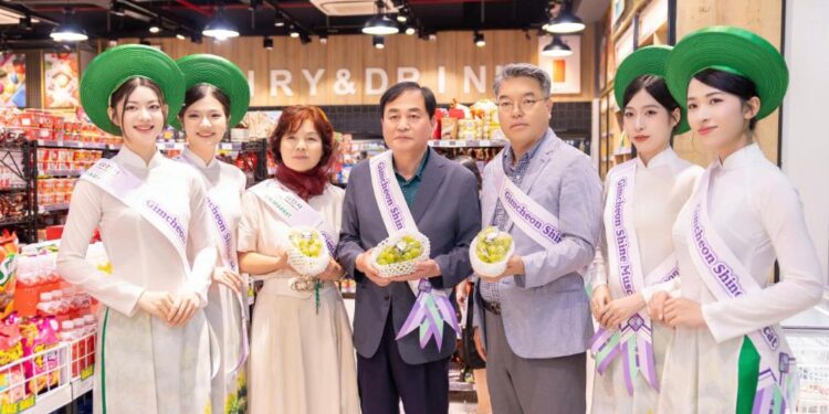 Thành phố Gimcheon quảng bá nông sản tại Việt Nam: Nho Shine Muscat dẫn đầu xu hướng