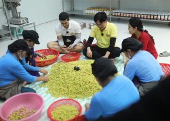 Tập 2 Đệ Nhất Mưu Sinh hé lộ cuộc đời nhiều thăng trầm của nhà sáng tạo nội dung Huyền Phi