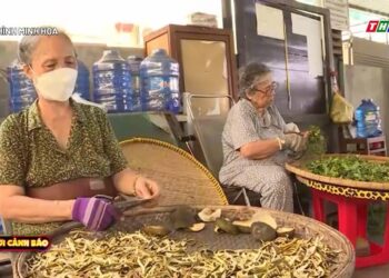 Lời Cảnh Báo: Ngộ độc từ thuốc nam truyền miệng